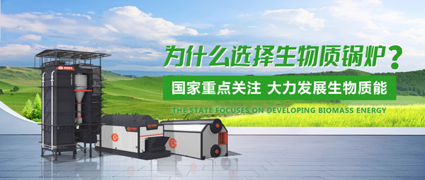 918博天堂生物质锅炉：绿色生长的“时代之选”