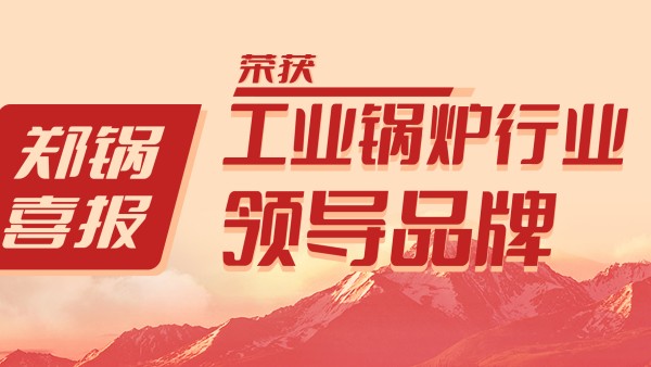 918博天堂股份荣获“工业锅炉行业向导品牌”和“出口创汇先进企业”等声誉